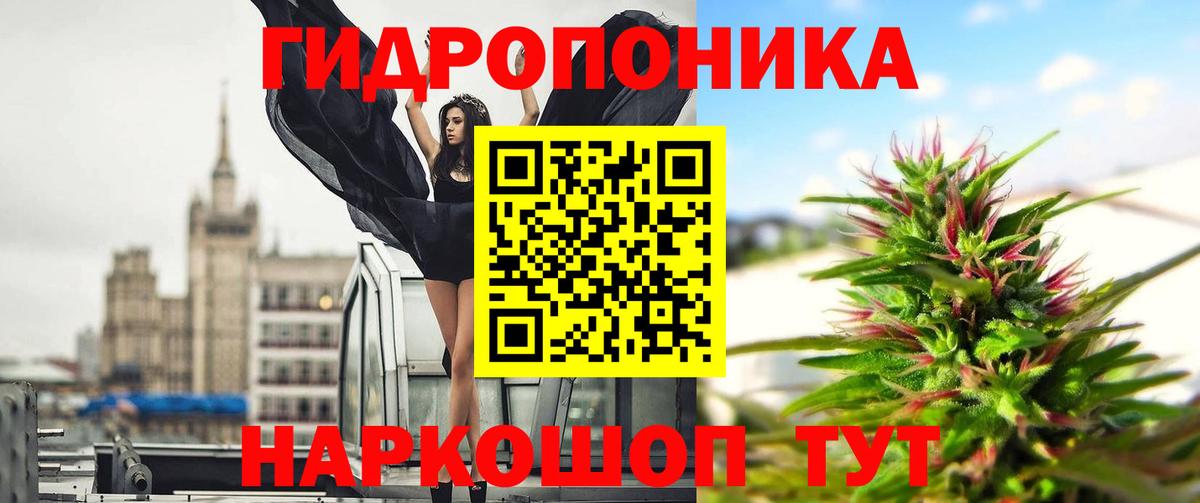 Каннабис Bruce Banner  Вход с VPN  Бошки Шишки White Widow  Каннабис Bruce Banner  Топки 